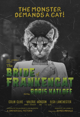 The Bride of Frankencat Movie Poster
