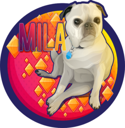 Mila the pug